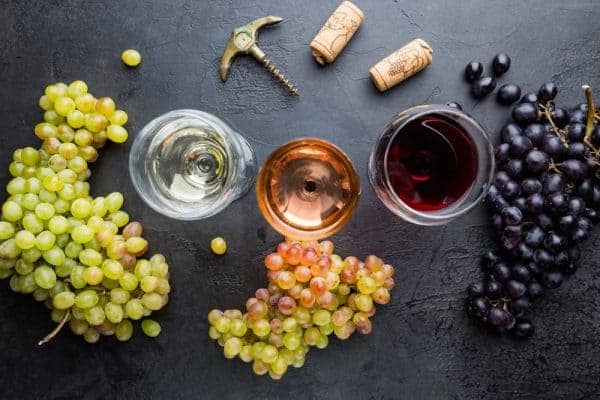 Visite de domaines viticoles avec Les Pousterles